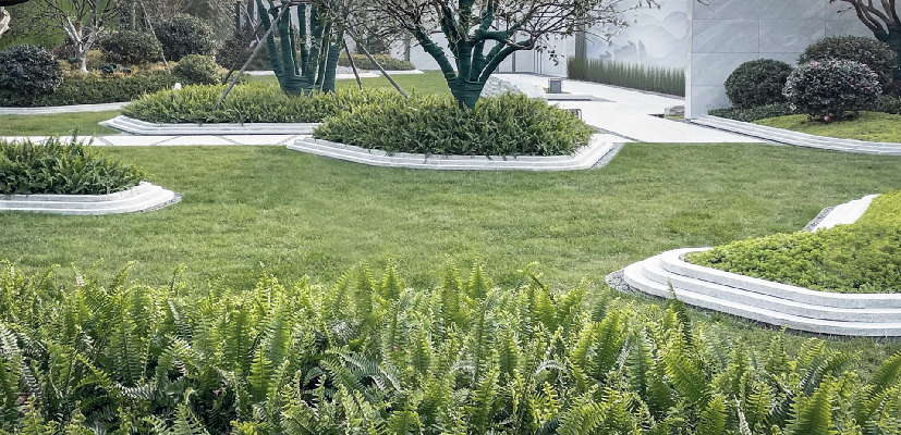   DSA东向景观丨杭州 顺发 美颂城.美学生活馆 景观设计 丨中国浙江-59