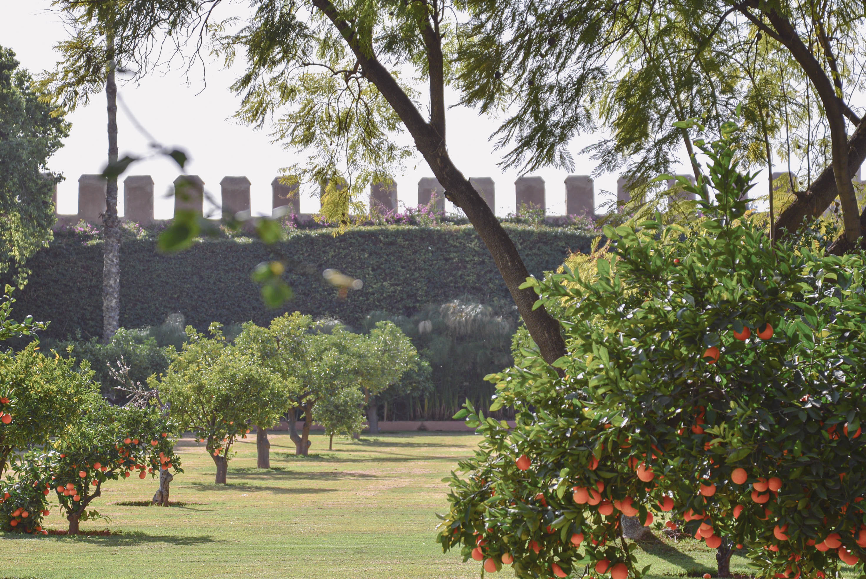 MERRAKESH/PHOTOGRAPHY-5