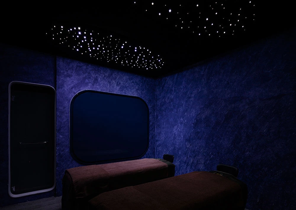 Rebirth Under the Stars-25