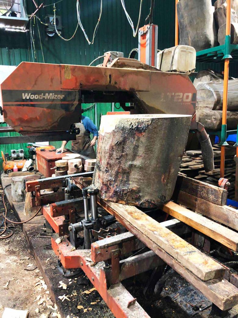 COLLECTIVE丨PENICILLIN丨中国-22