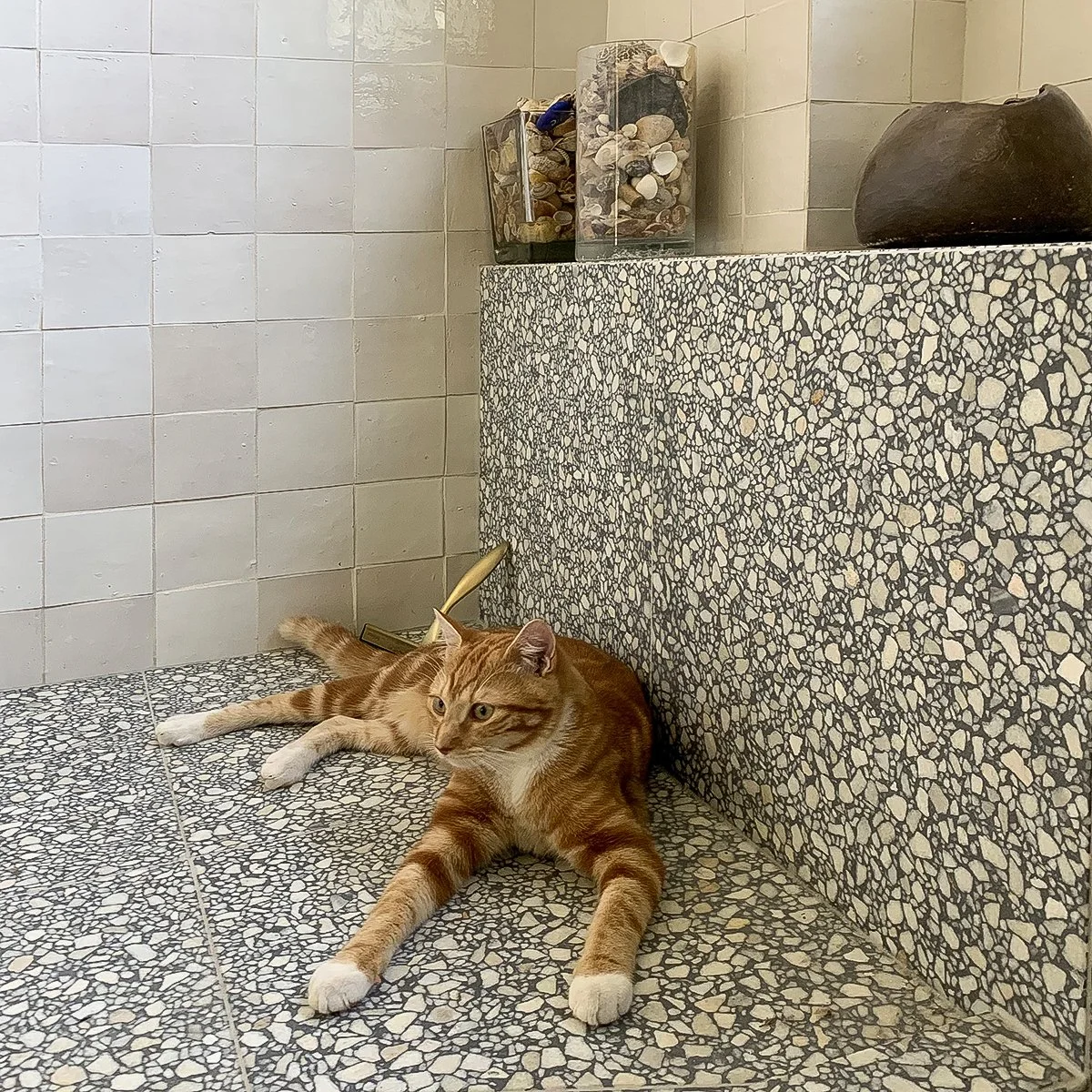 APPARTEMENT BOURGOGNE — ANNA GRANT-16