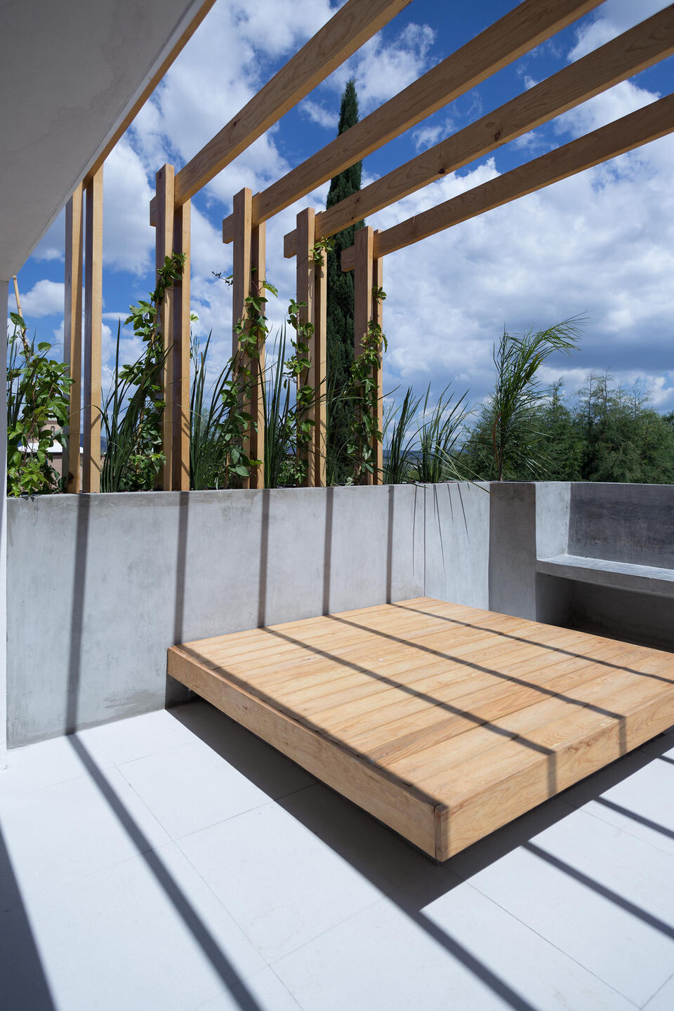 墨西哥沙漠景观中的 Labradores 之家-34