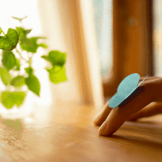 现代风格的设计巧思 | 温馨、自然与自由-6