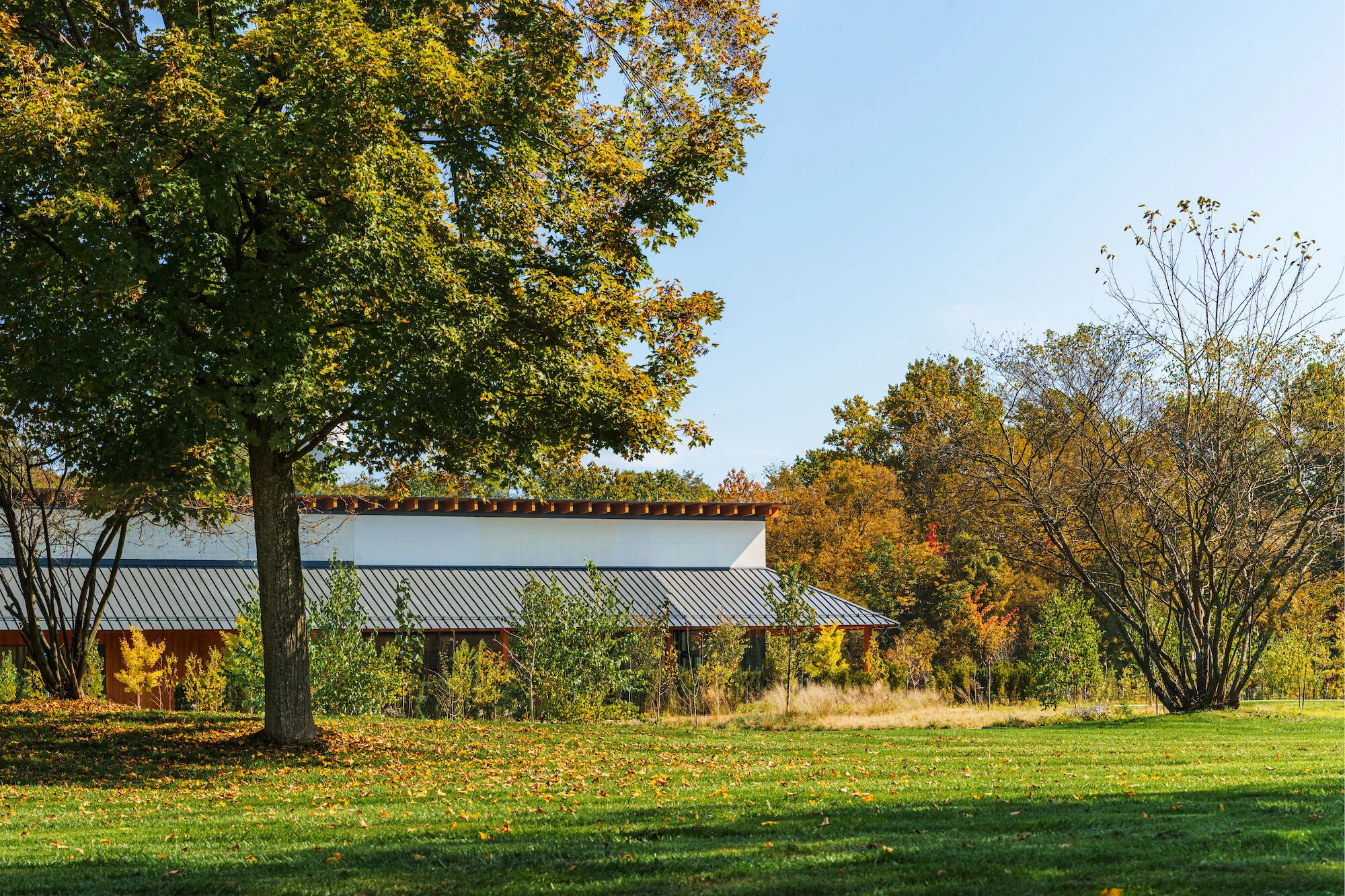 旭酒造的獭祭蓝酿酒厂丨美国纽约-46