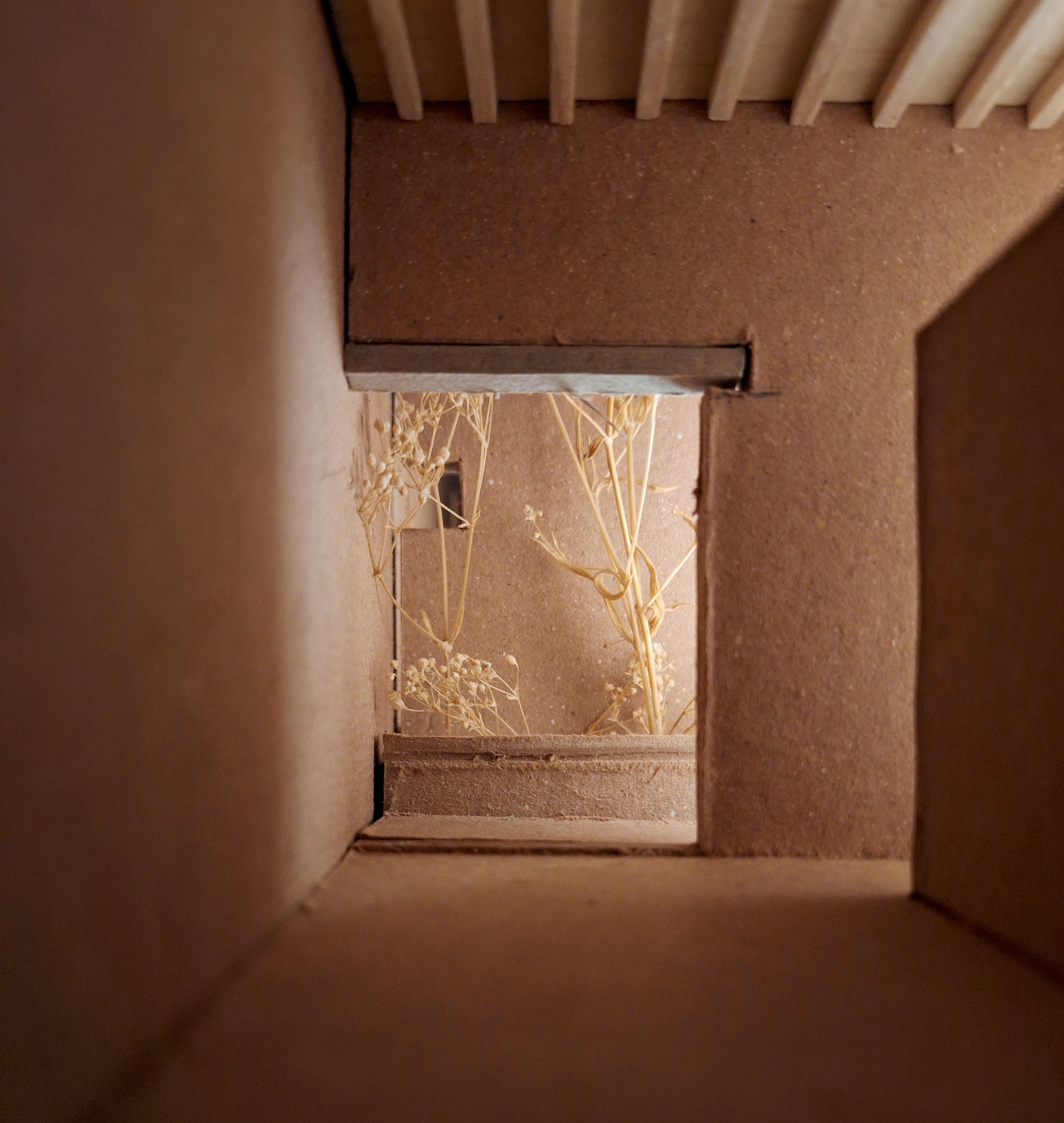 皮鲁莱斯之家丨墨西哥丨Escobedo Soliz（Pavel Escobedo等）-40