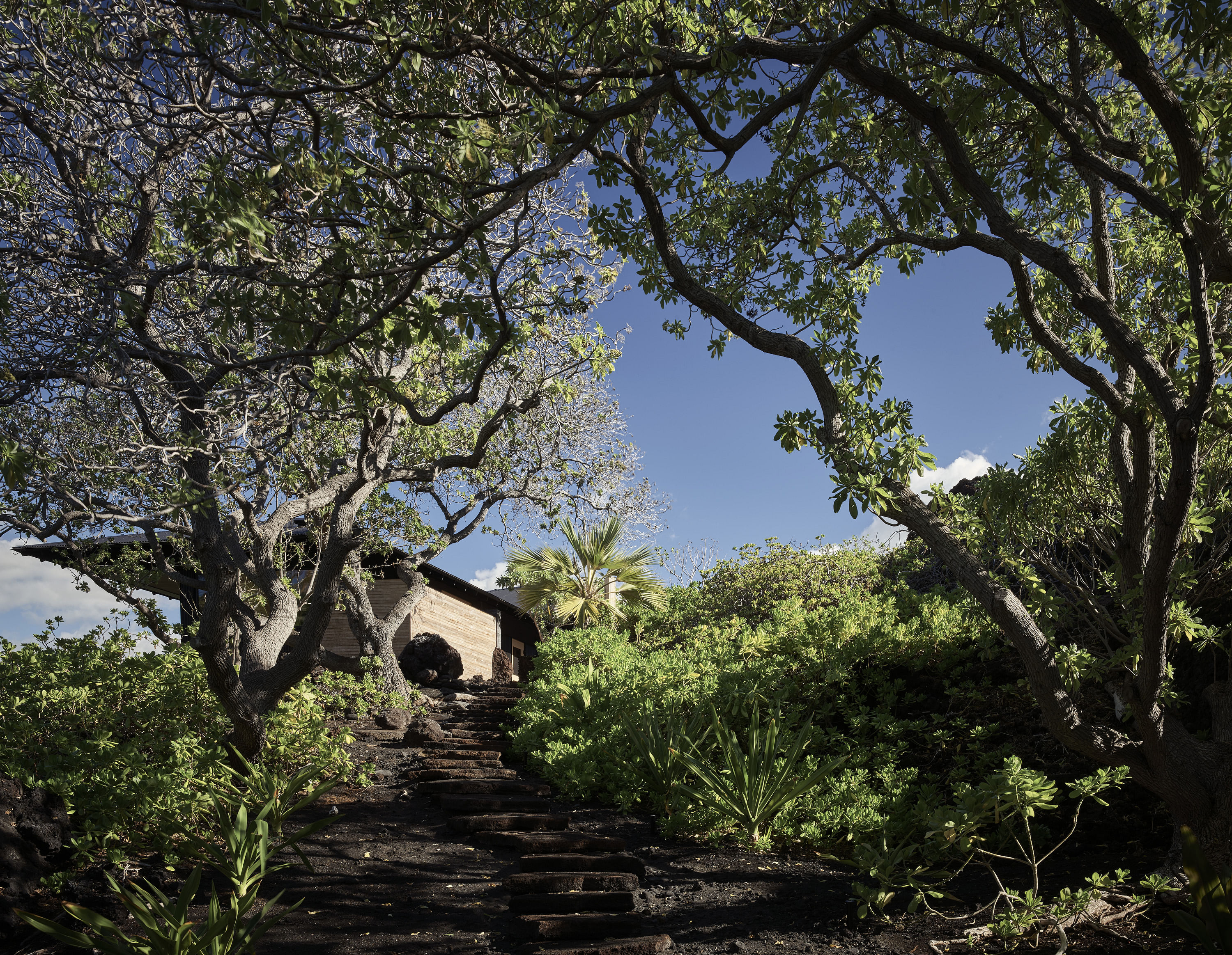 丨美国夏威夷-29