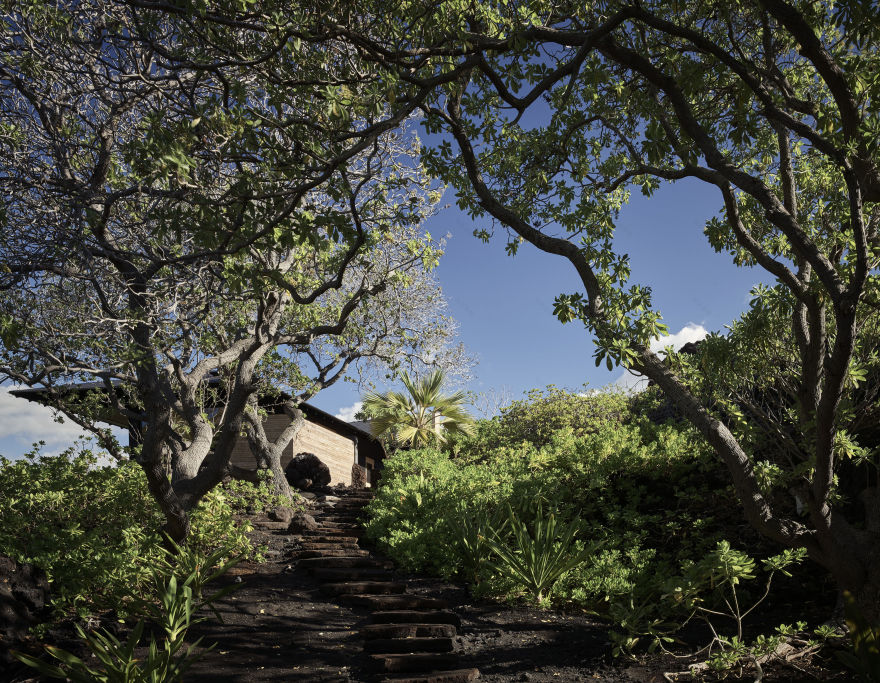 丨美国夏威夷-29