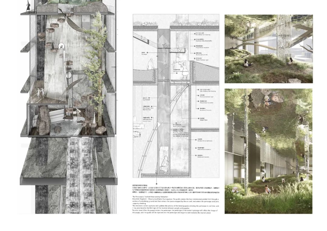 清华建筑毕设“四次元口袋”：聚焦人宠细腻情绪的互动体验空间！“建筑材料转译自然+交互装置植入空间”塑造垂直向度人宠空间戏剧发生体-16