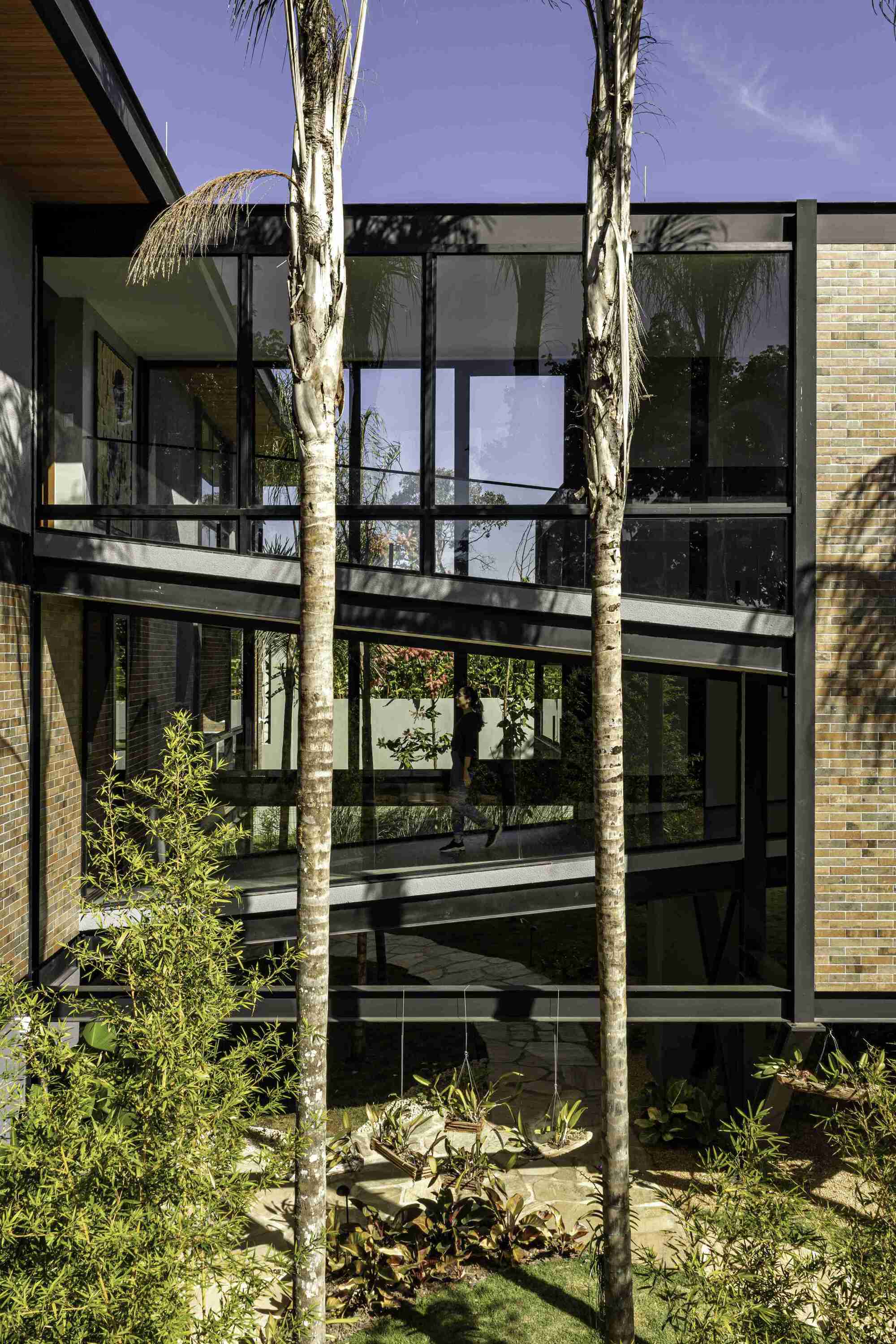 丨巴西戈亚斯-31