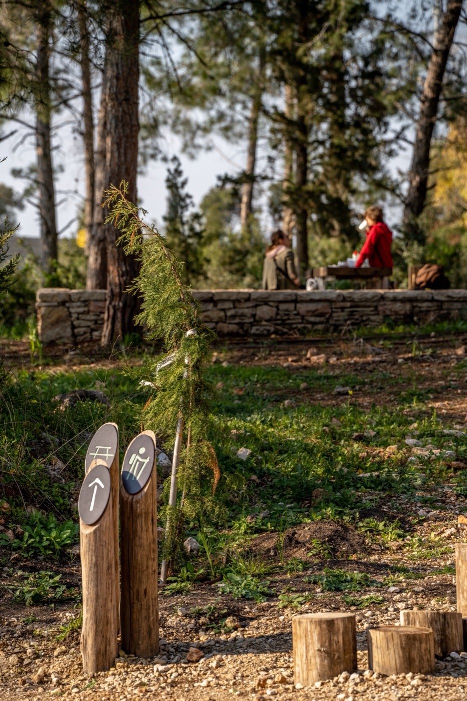 以色列哈里什森林公园-26