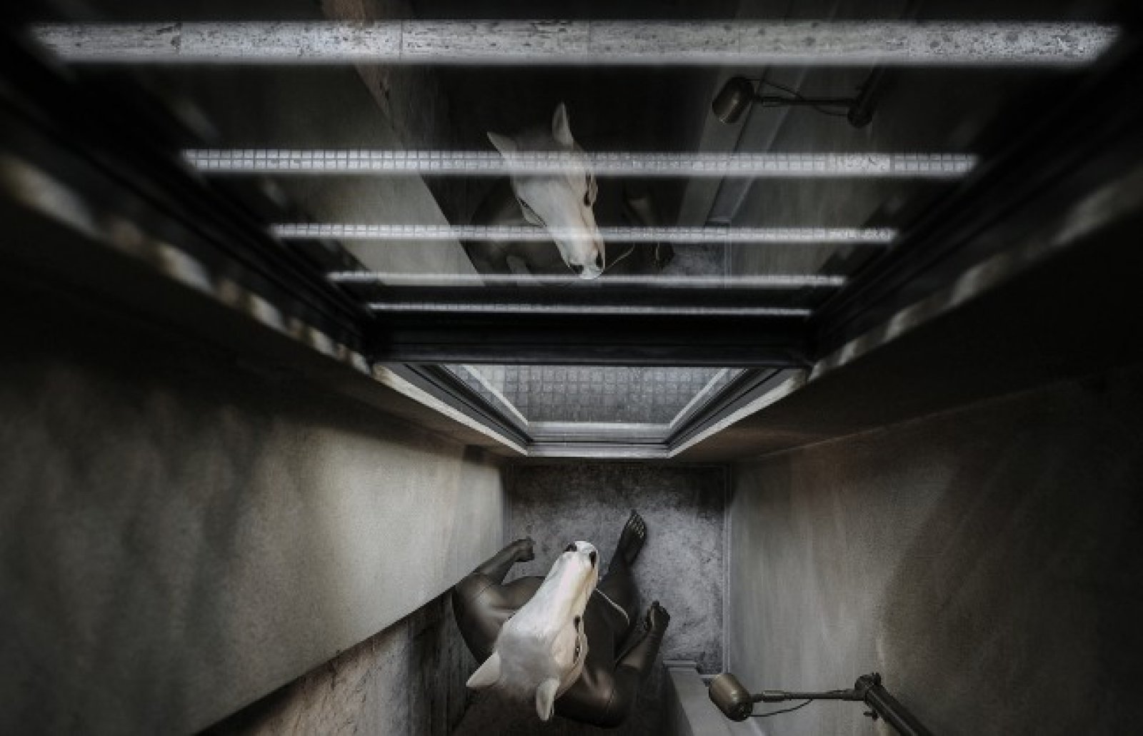 希腊 Cheval 酒吧  Lentaris Konstantinos-4