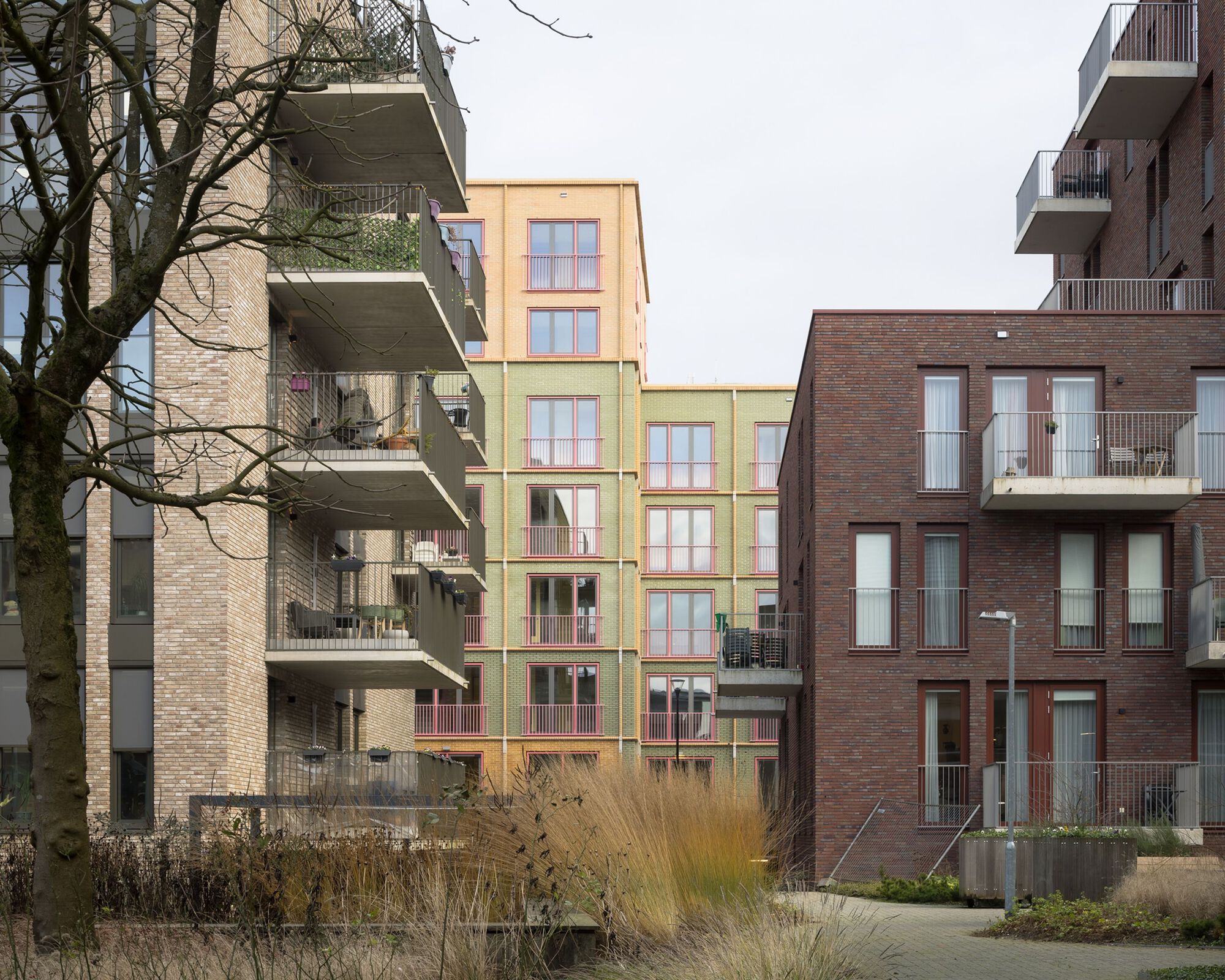 住宅外观改造丨荷兰丨MONADNOCK-20