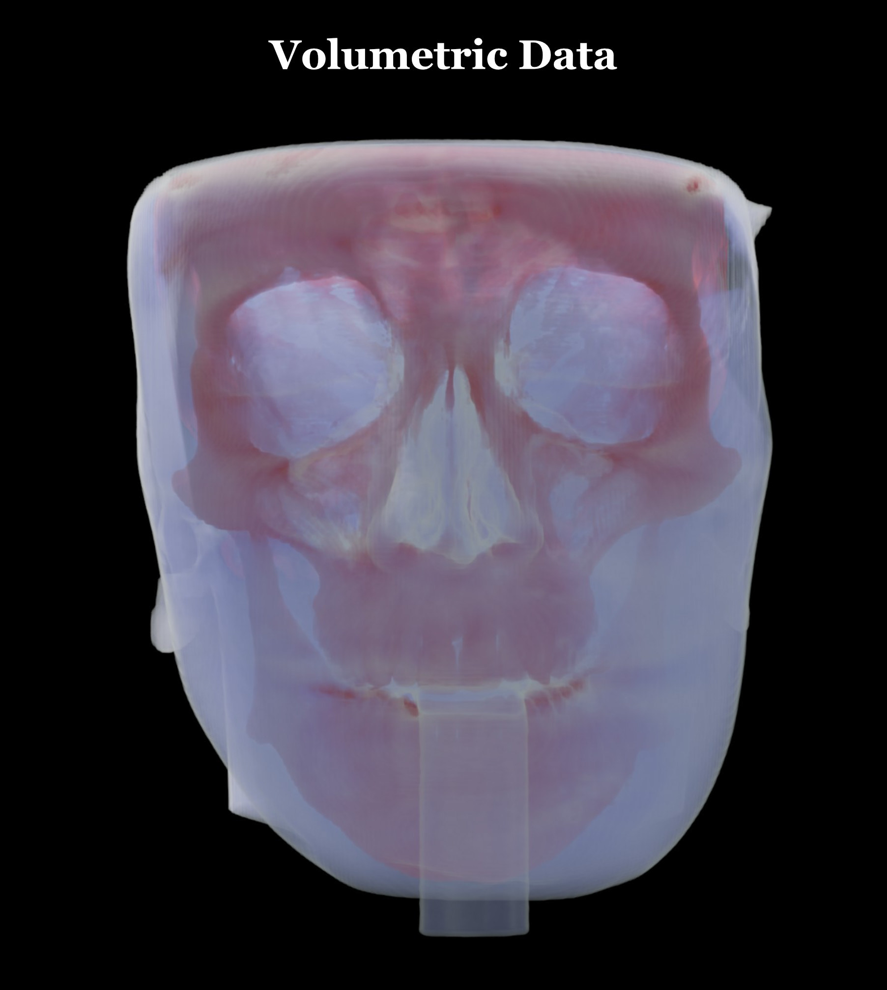 风格化生物学-11