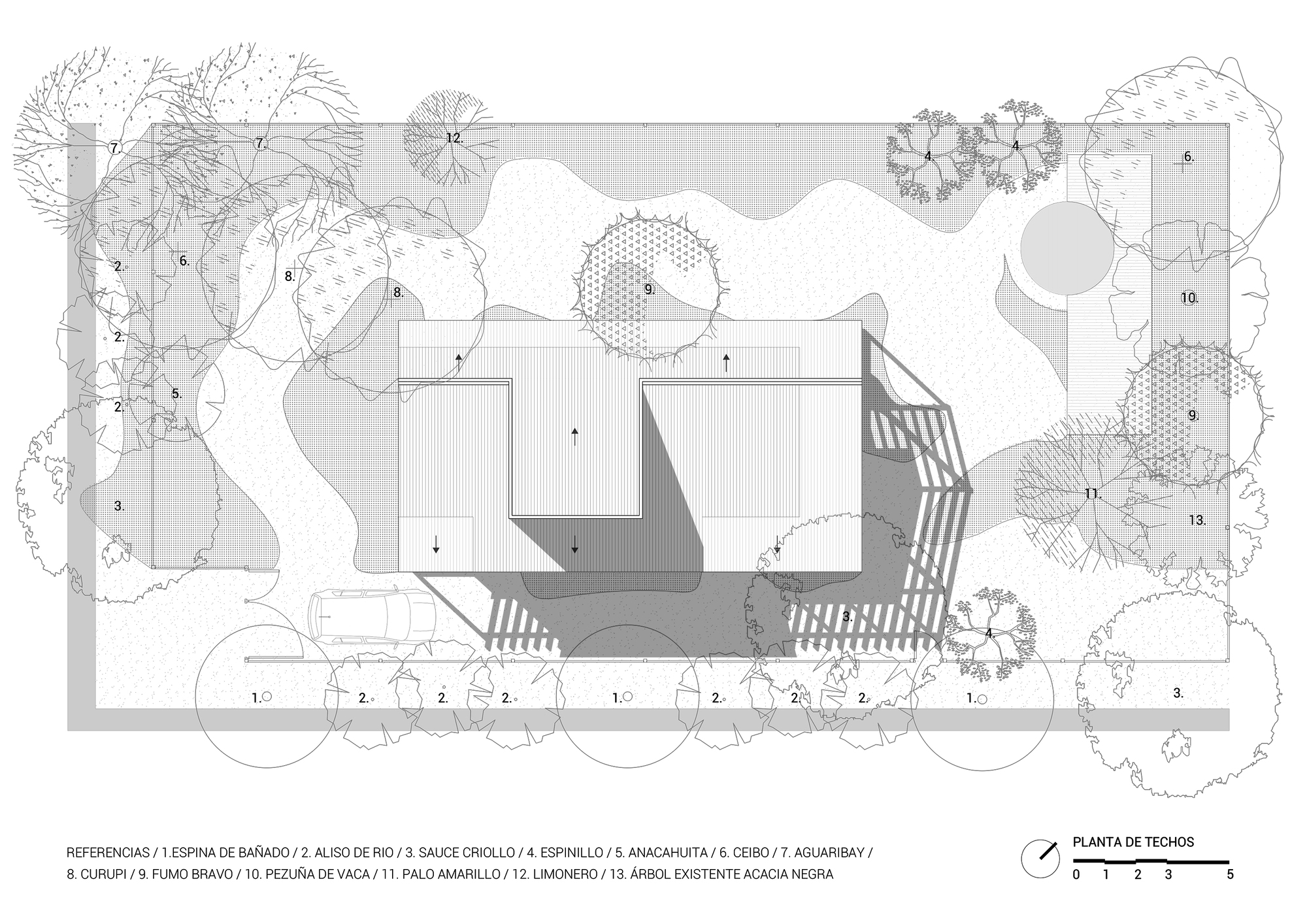 丨阿根廷拉普拉塔-50