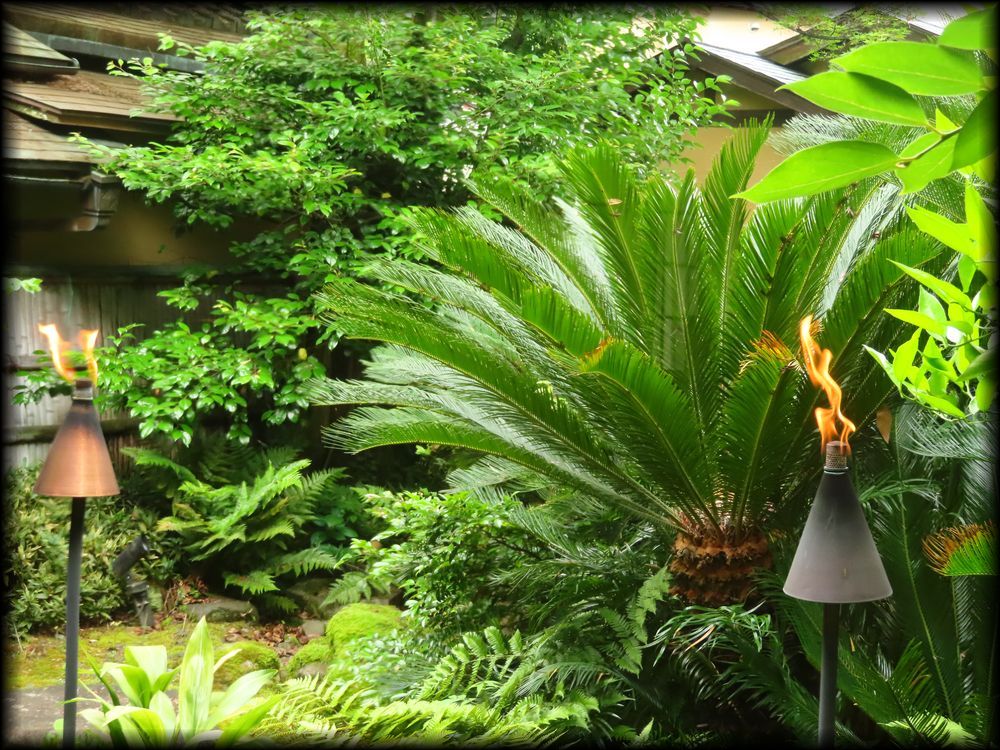 旧竹内栖鳳邸「東山艸堂」 ―THE SODOH HIGASHIYAMA KYOTO（ザ ソウドウ 東山 京都） ―造形礼賛-24