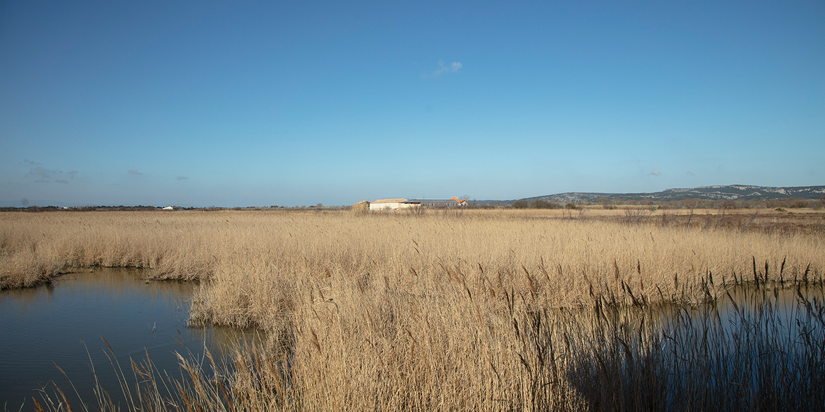 丨法国丨CoCo architecture等多家机构-27