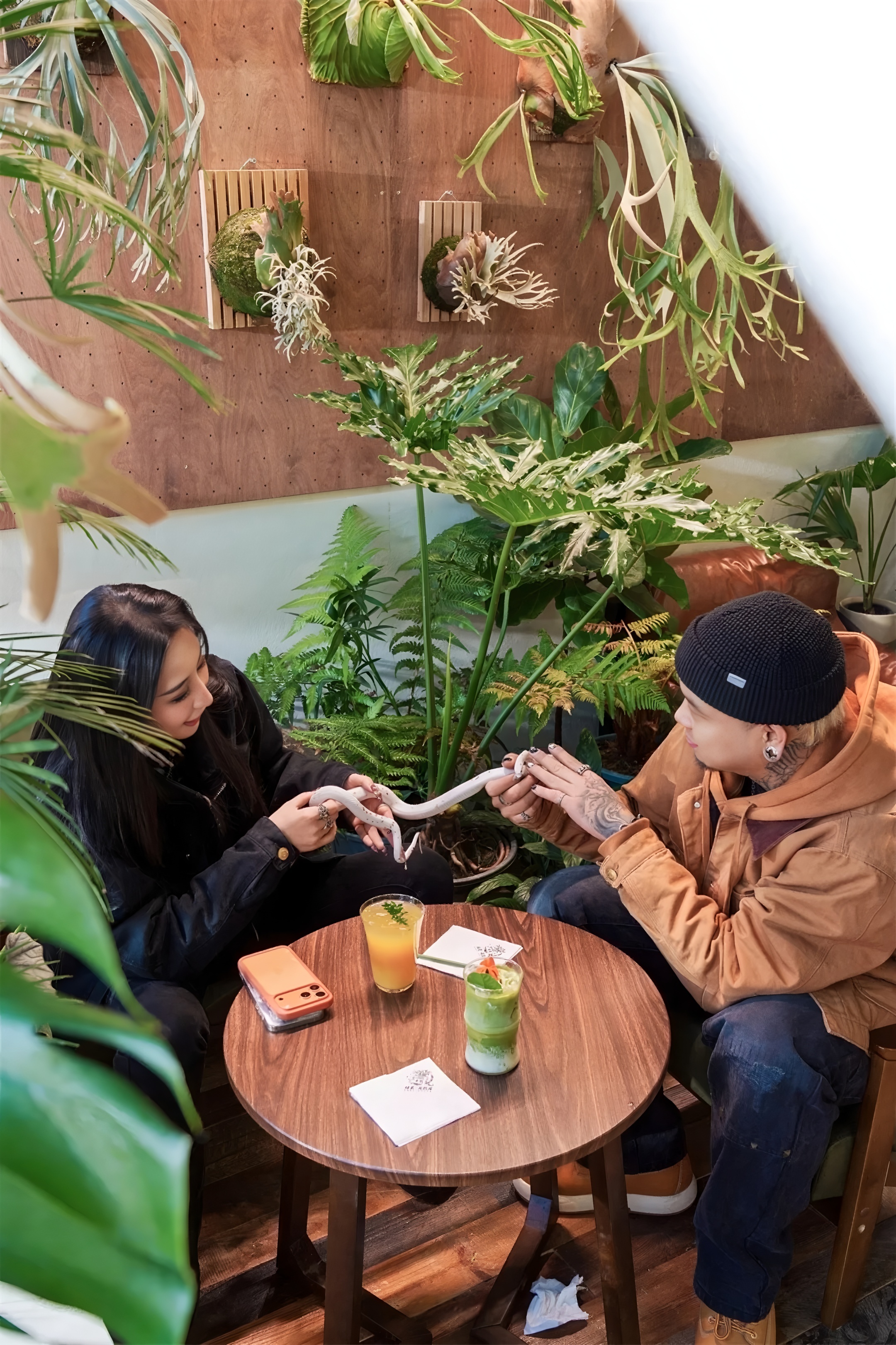 《绿觅 · 尾巴屋》西安宠物店丨中国西安丨陕西梁辰造物建筑设计-11