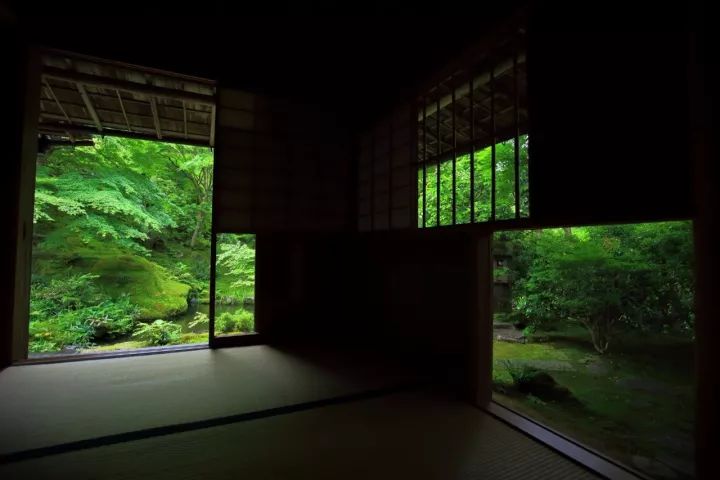 庭院满青苔，极美！-79