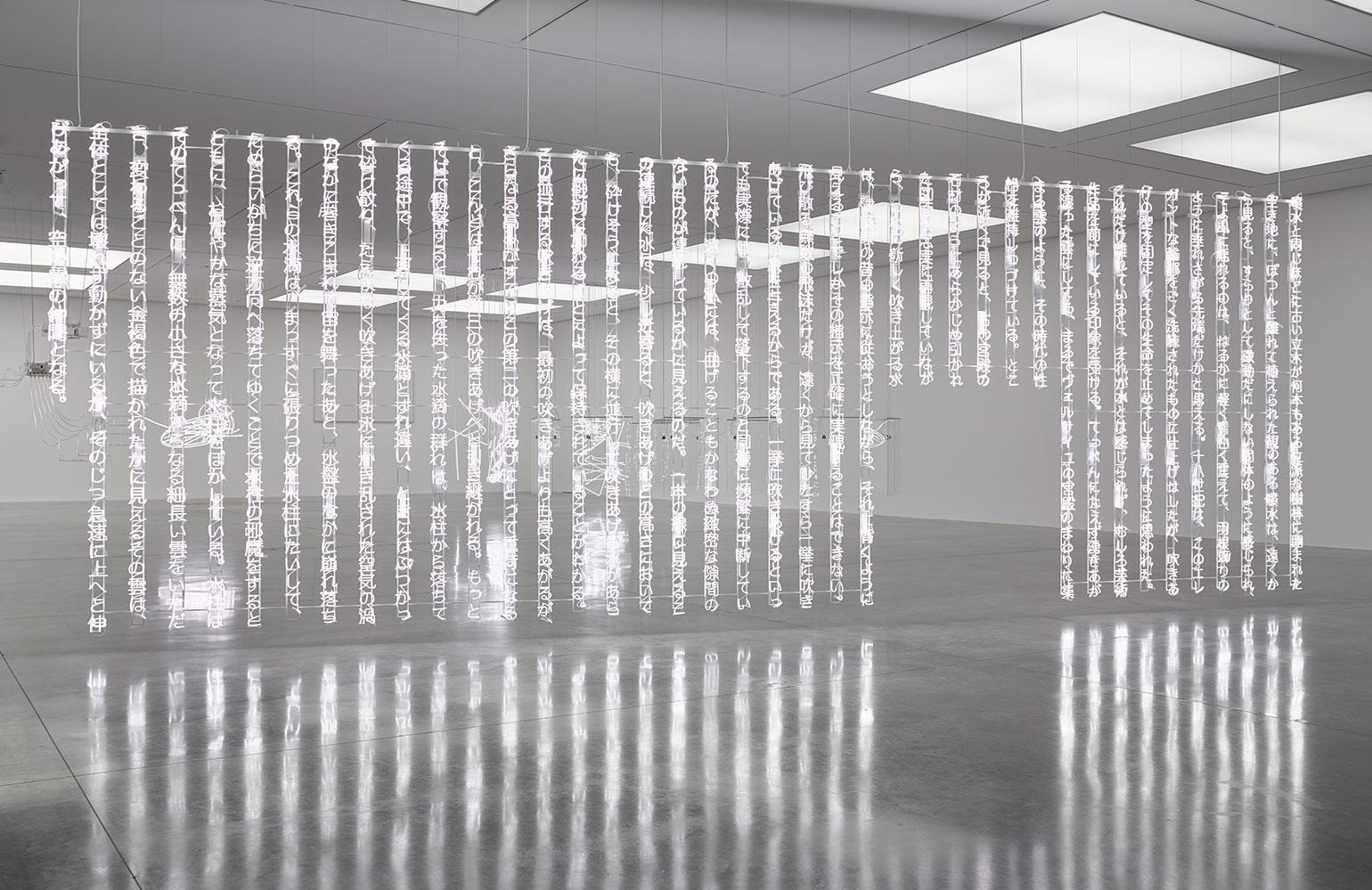 赛瑞思·韦恩斯 | “思考领域...视野领域”白立方展览解读-2