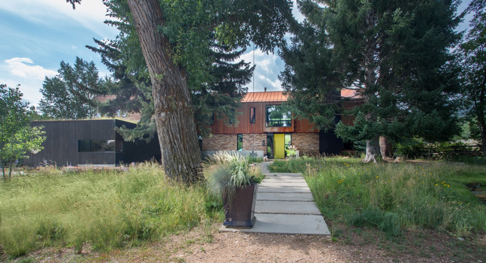 石化木材记忆与美国现代住宅的共生-10