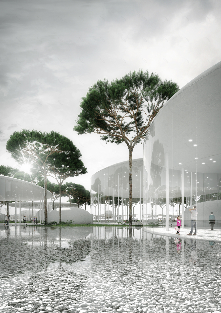 格连吉克机场丨俄罗斯丨Tsimailo Lyashenko and Partners-10