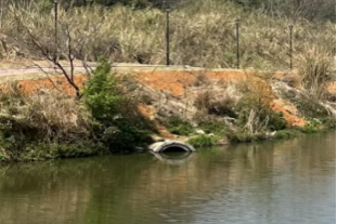 桂林新区山水公园海绵化提升改造工程竣工验收-28