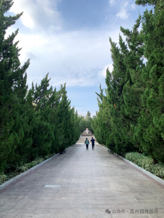 英魂长驻,青山焕新——园林股份修缮皖南事变三烈士墓-34