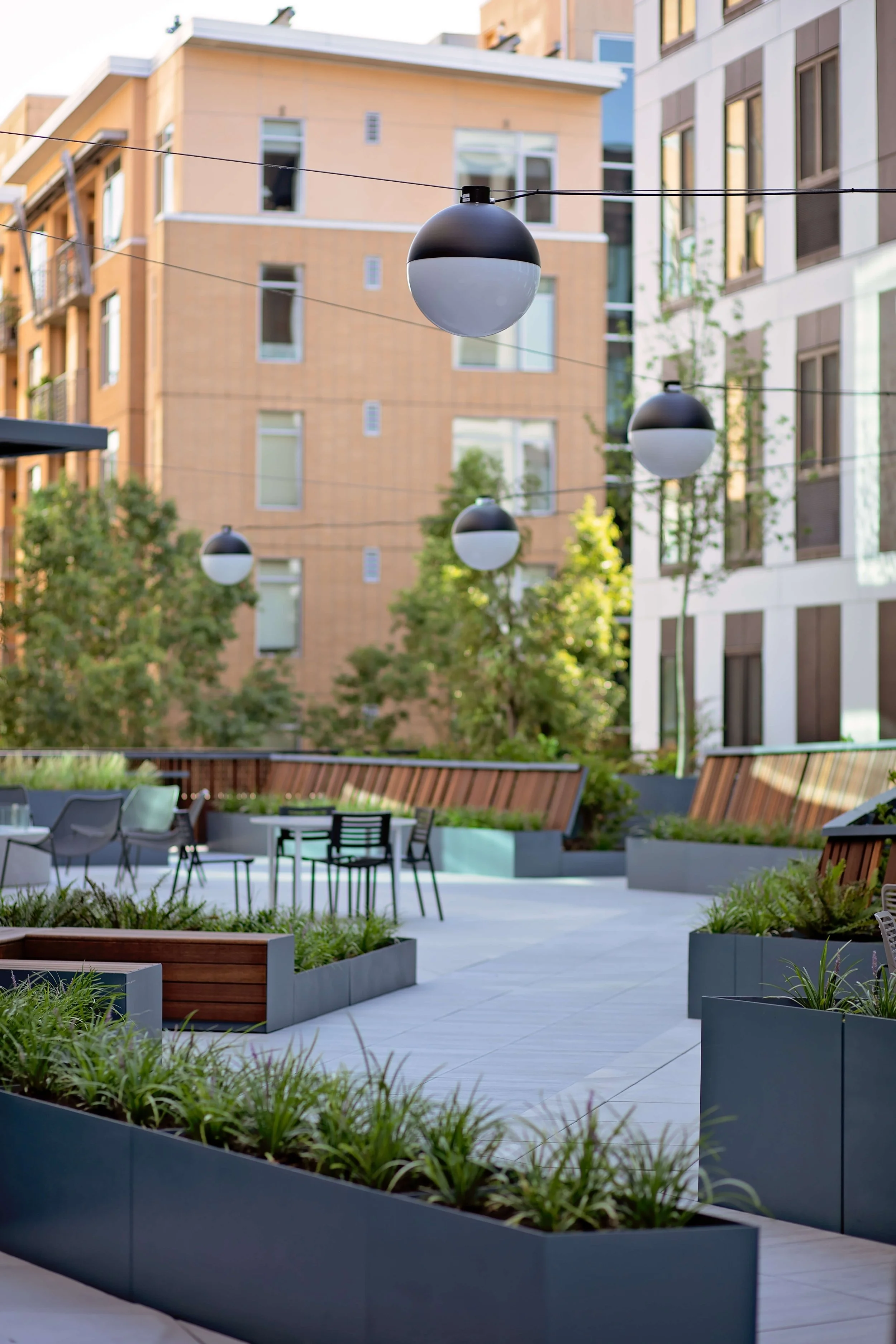 丨加拿大温哥华-49