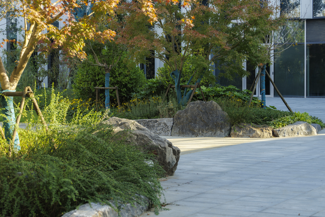 阿里巴巴南湖未来科学园丨中国杭州丨阿普贝思UP+S-125