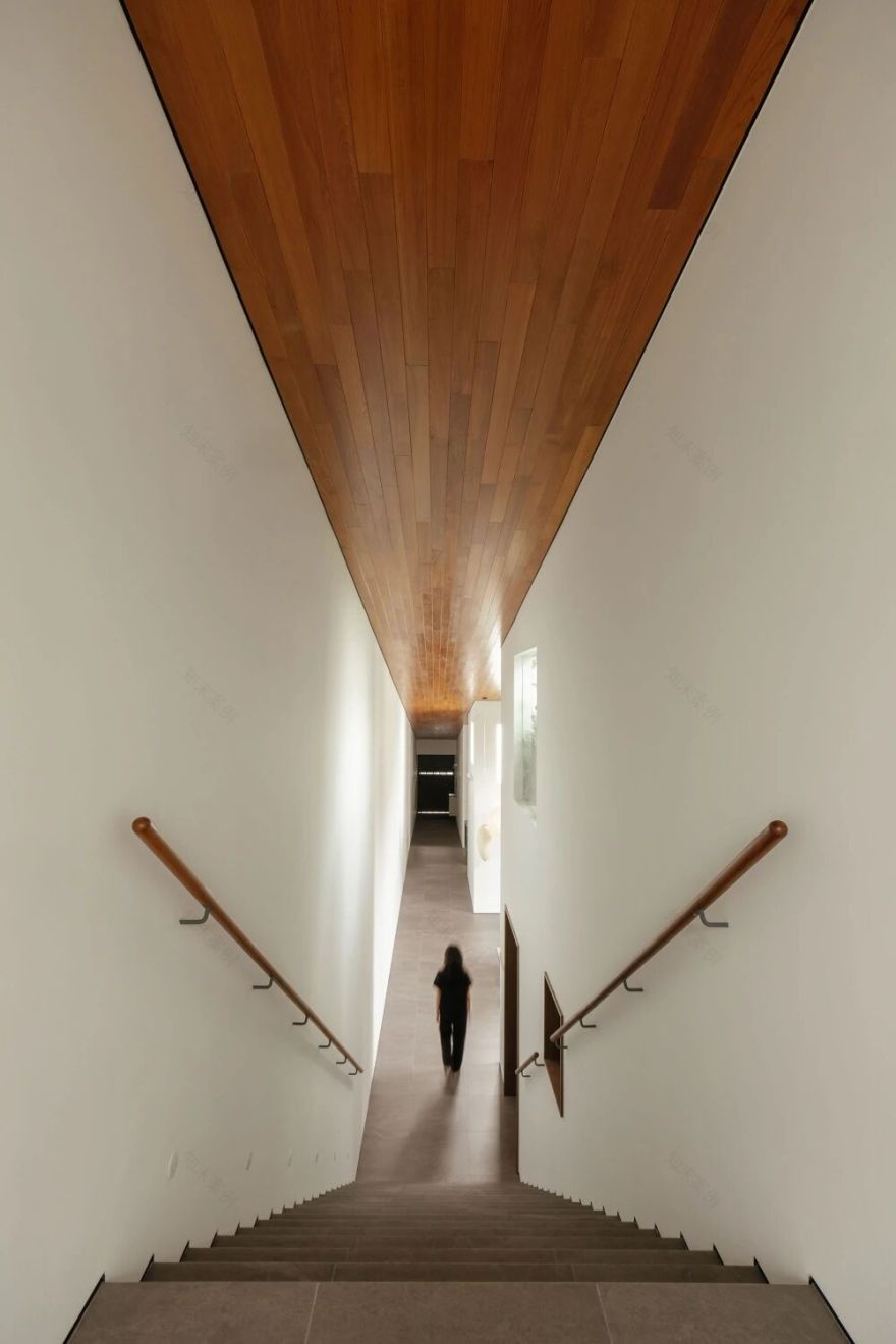 新作 WEDGE HOUSE Super Assembly 2026 新加坡-3