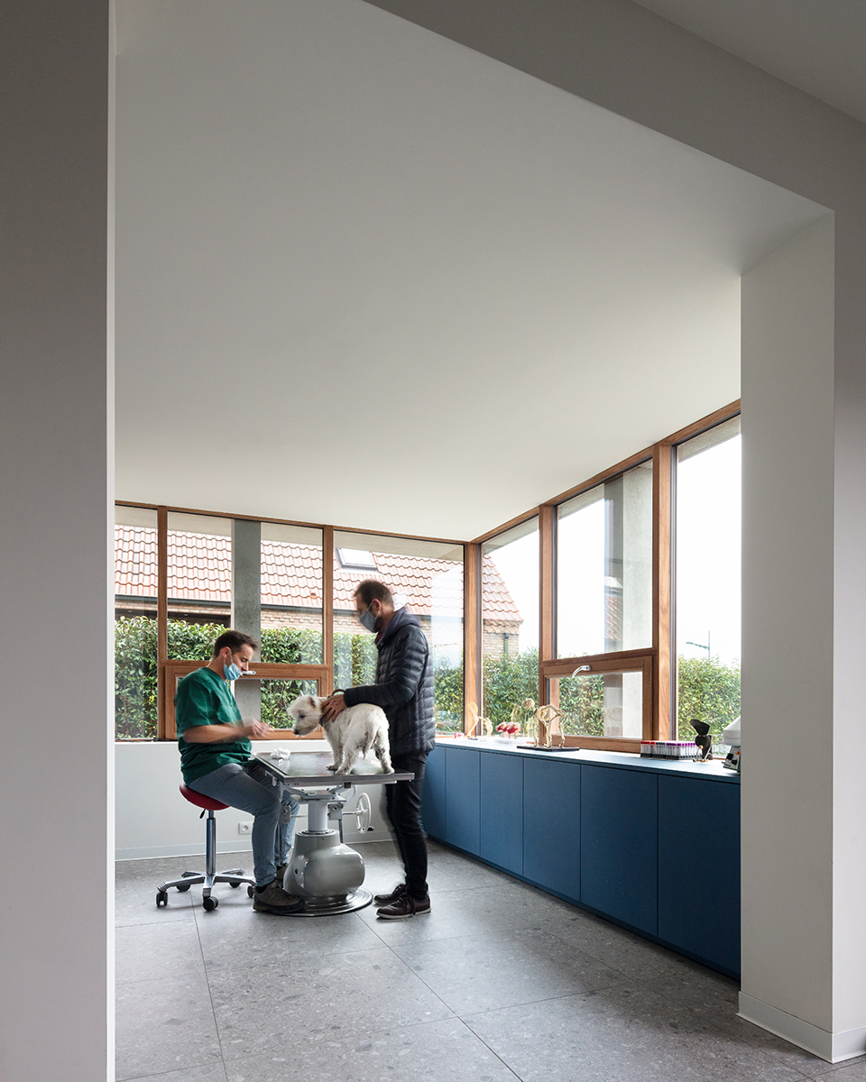 VDB住宅和兽医诊所丨比利时丨GRAUX & BAEYENS Architecten-40