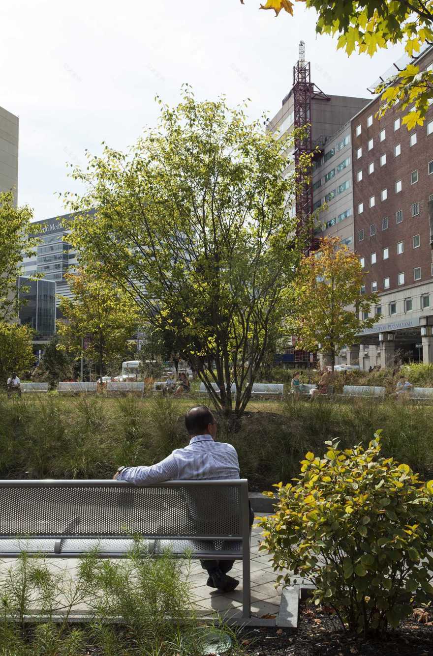宾夕法尼亚大学爱德华·凯恩公园丨美国宾夕法尼亚-8