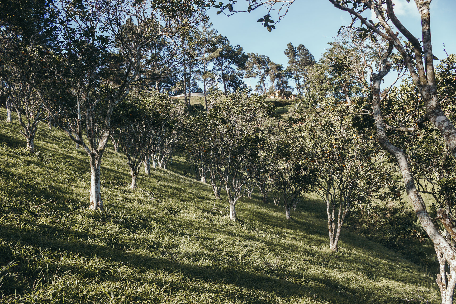 CMG 营地测绘丨委内瑞拉-15