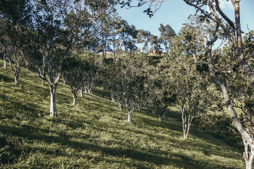 CMG 营地测绘丨委内瑞拉-15