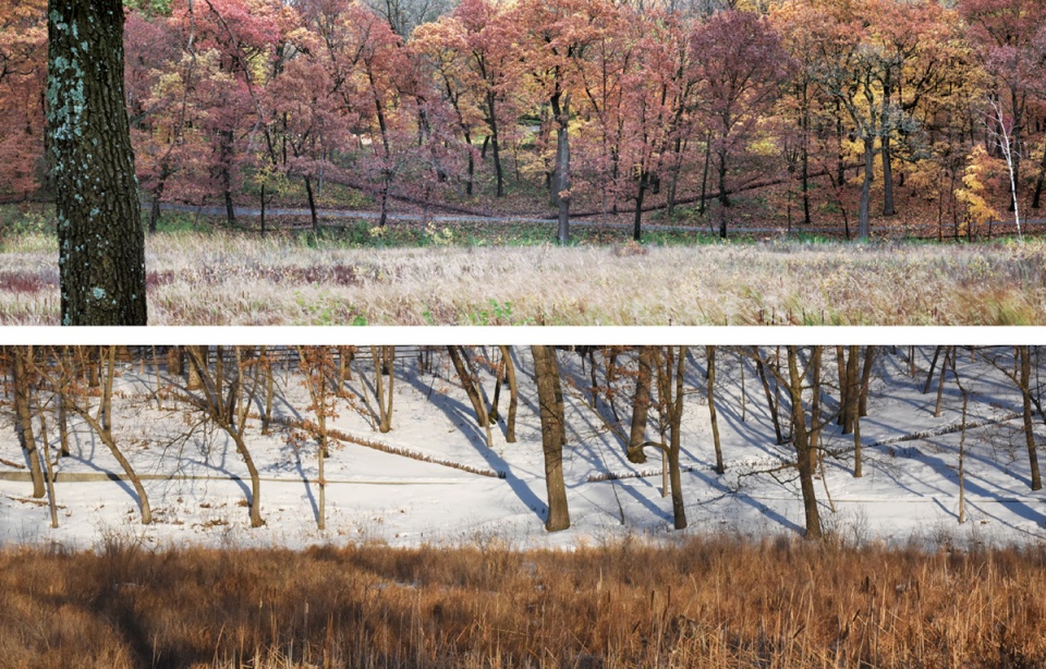 马里恩湖畔住宅 | 生态修复与艺术交融-60