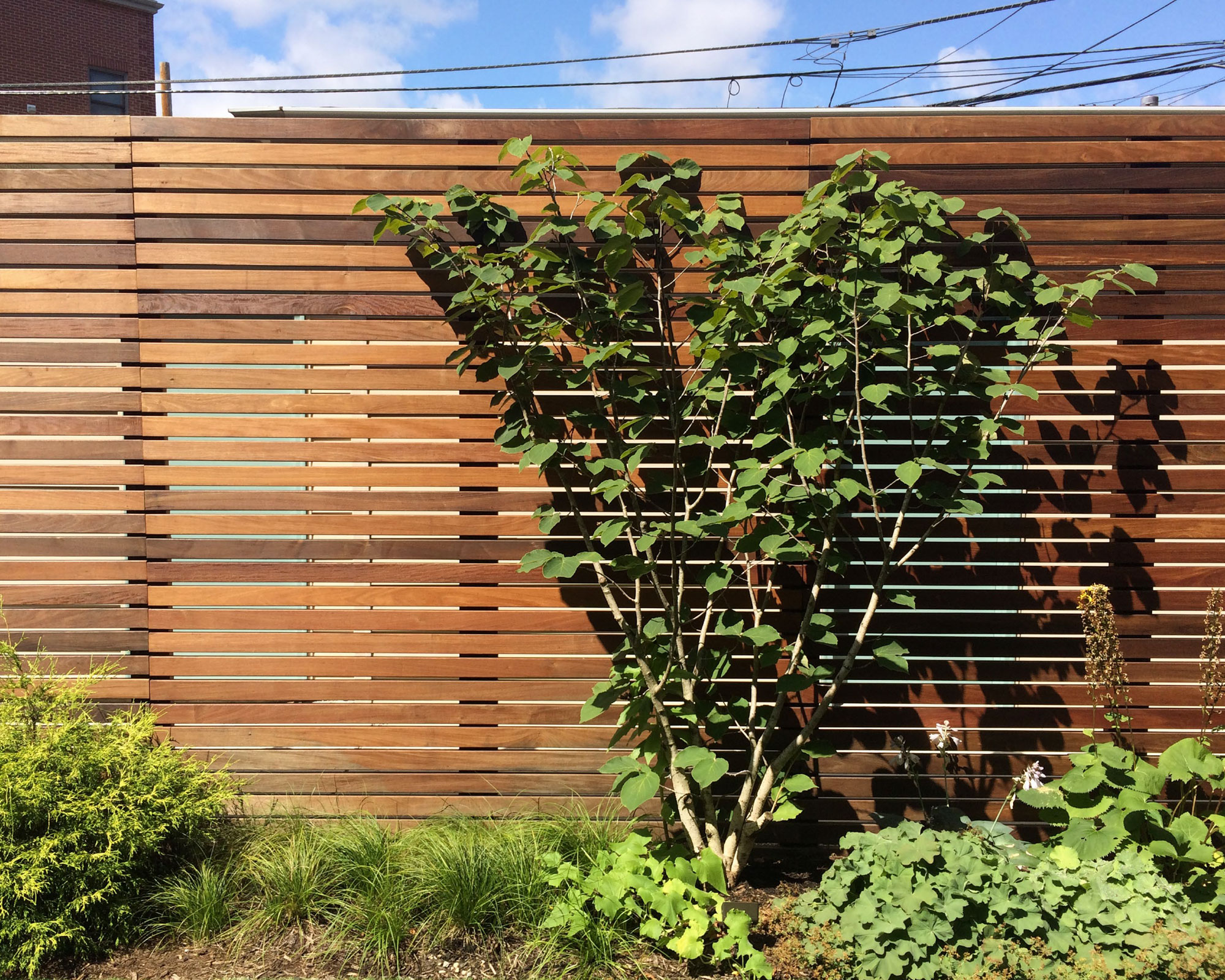 丨美国芝加哥-31