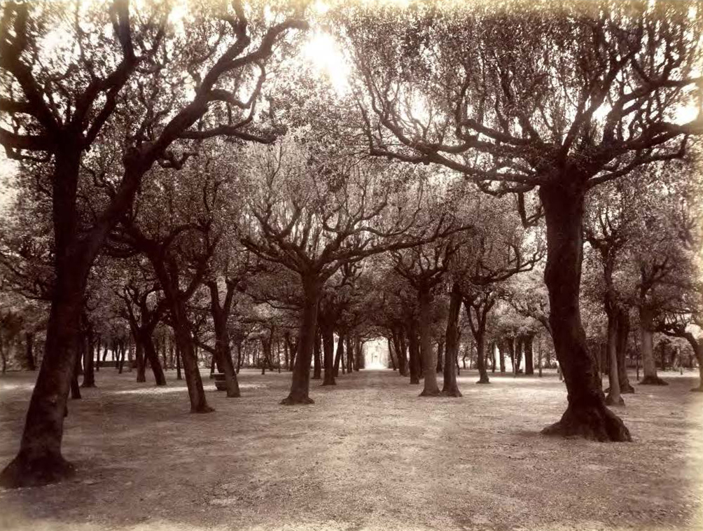 Villa Ludovisi Estate, Rome-7