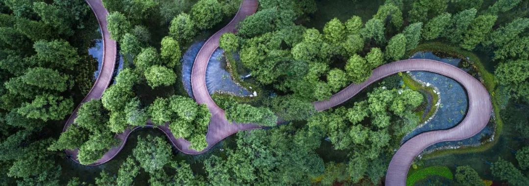 合肥华宇·锦绣蘭庭丨中国合肥丨上海墨刻景观工程有限公司-66