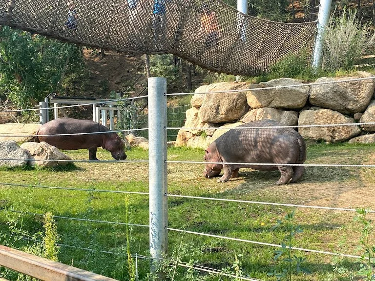 水际之地:非洲丨美国科罗拉多斯普林斯丨SH|R Studios-35