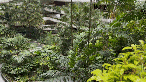 WATG 经典｜新加坡香格里拉大酒店花园翼-15