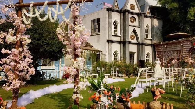 文艺大叔租下8亩林场，花16年种花养草，如今惊艳世人，连美国杂志都给他点赞-199