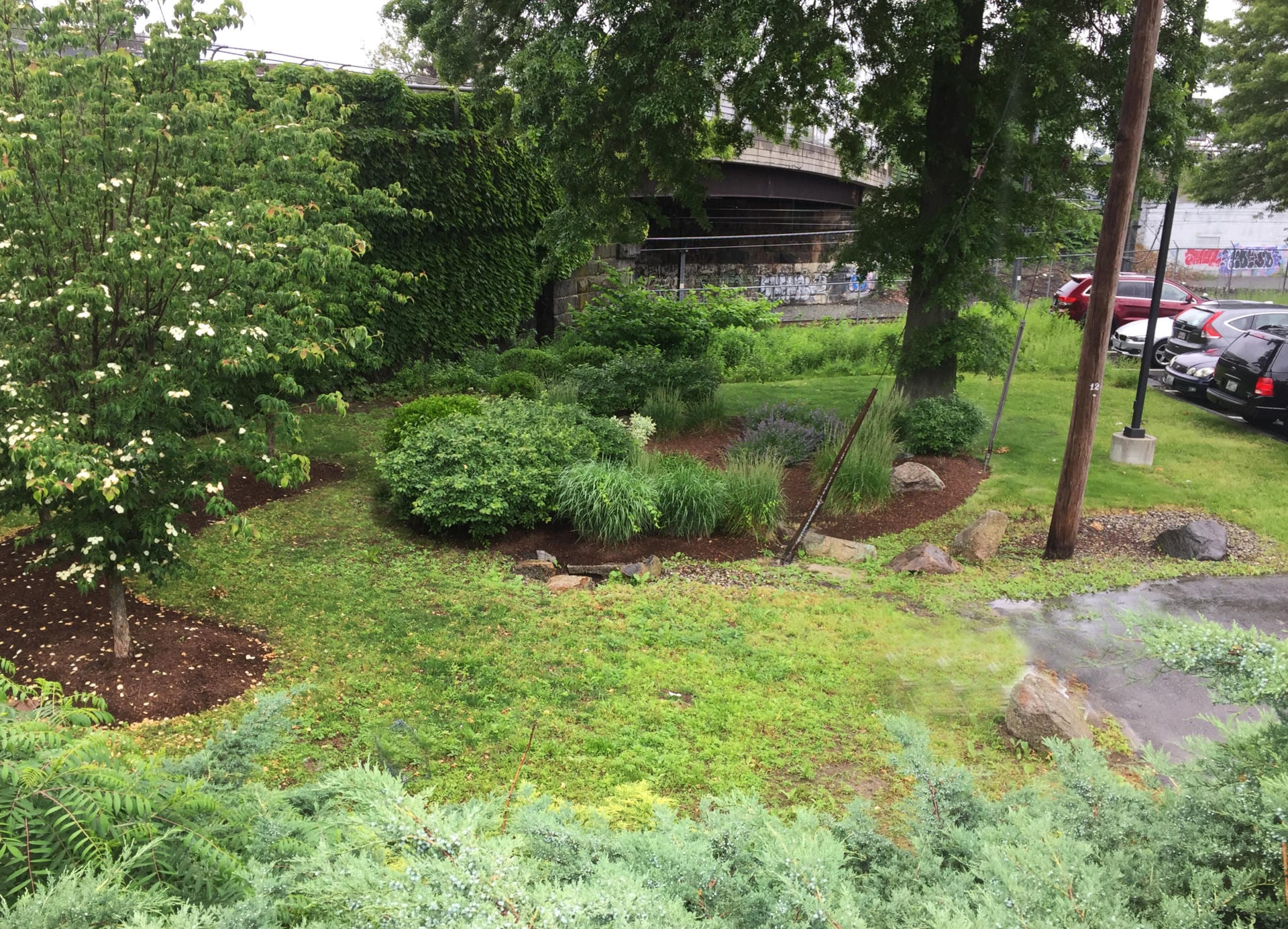 医疗办公室雨水花园丨美国普罗维登斯-17