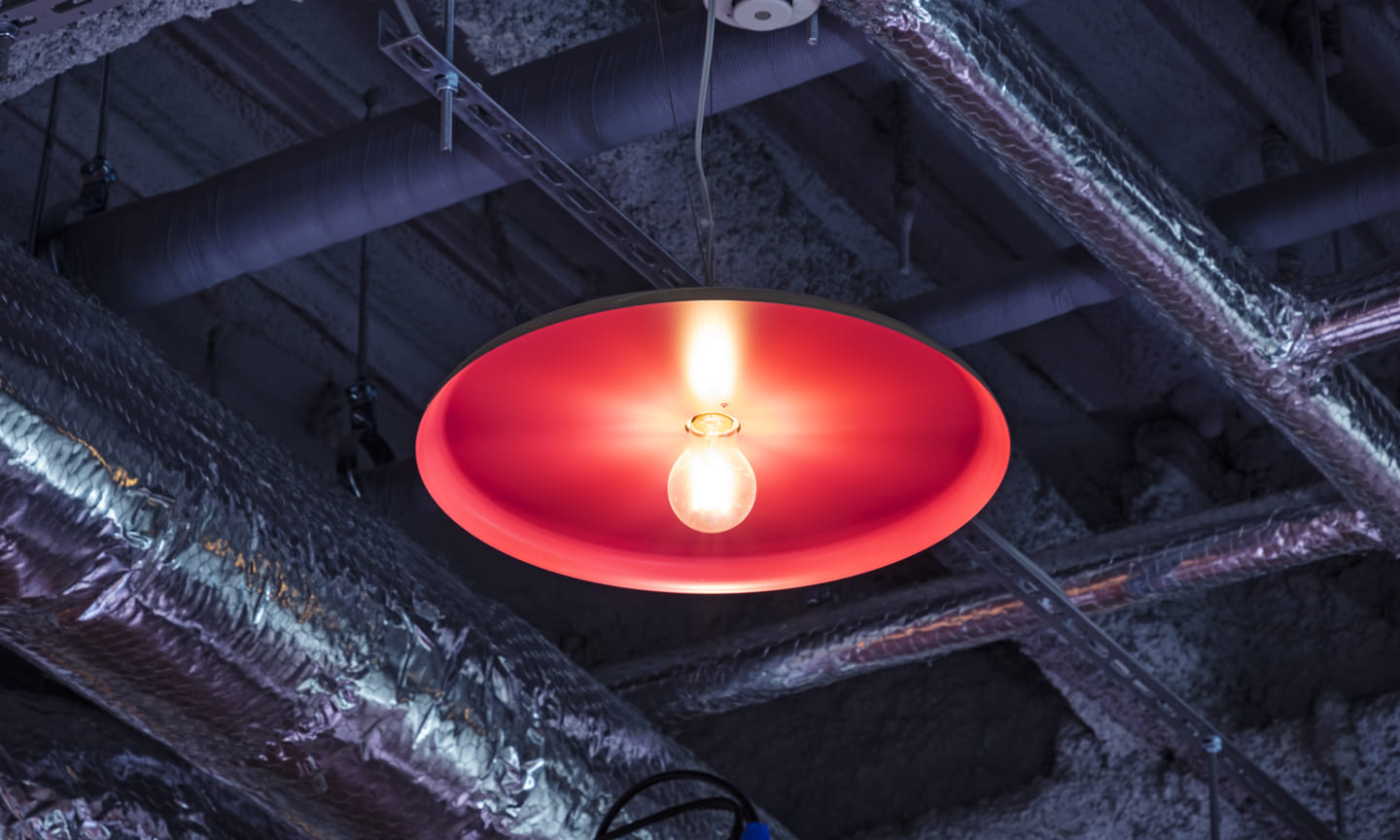 B I F BY NERGY丨Suppose Design-1