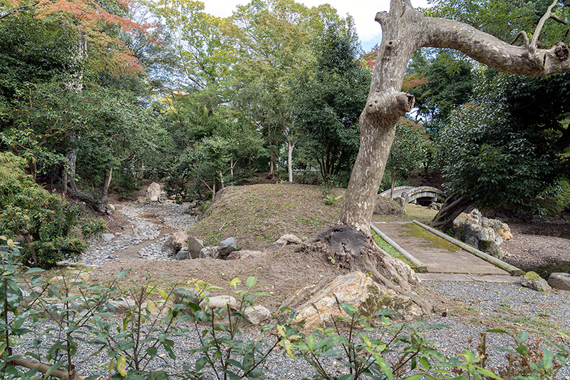 近衞邸跡池泉庭園丨日本京都-23