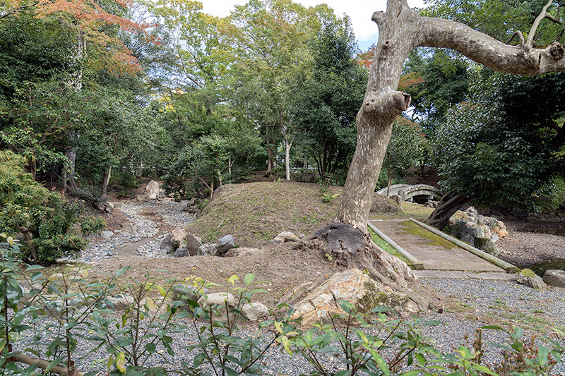 近衞邸跡池泉庭園丨日本京都-23