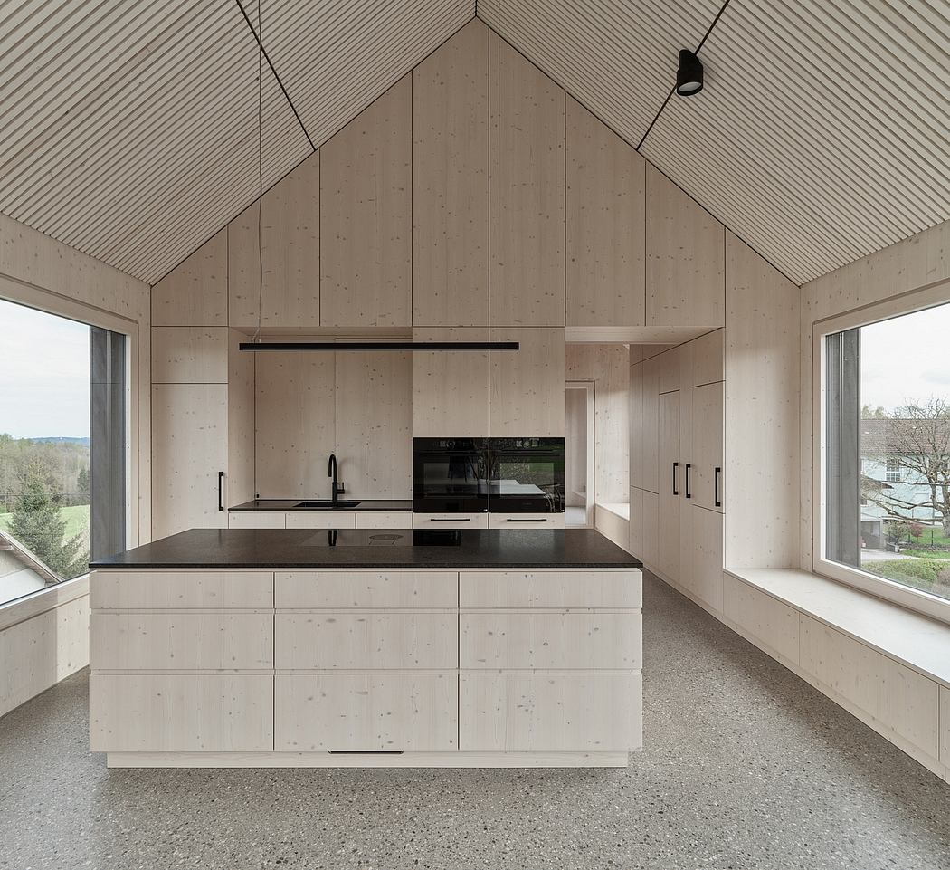 高黑屋丨奥地利丨SLP Architekten-3