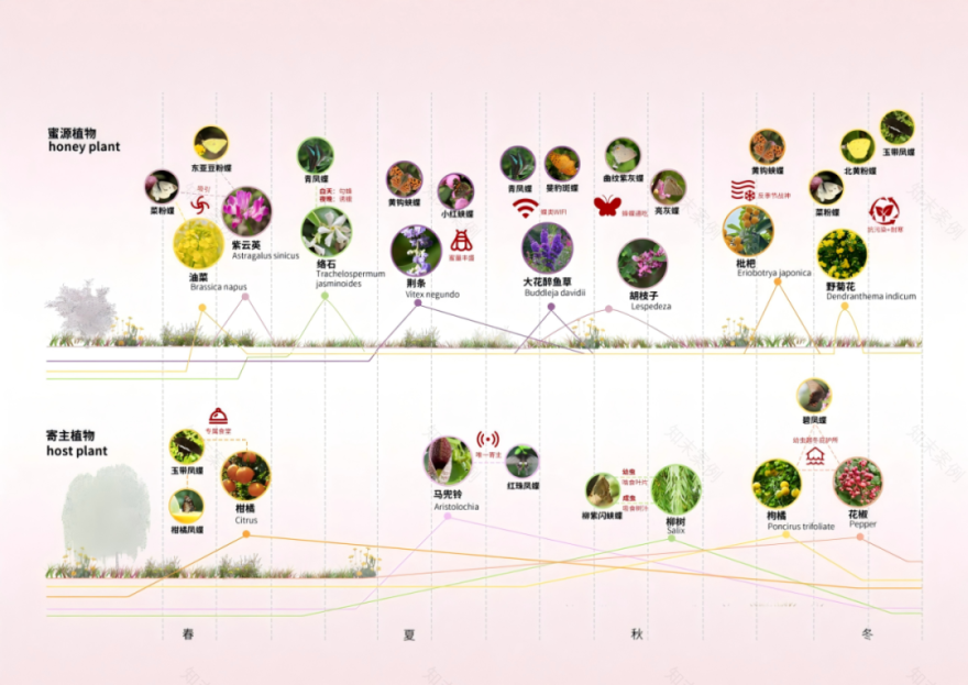 超甜江大学妹的毕设获2025年全国联合毕业设计奖!新概念“共享花园与菜园”!以生境花园为核心载体,模块化系统重构空间打造生态设计-84