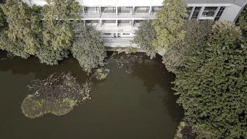 加减智库 2020 展望 | 创新设计点亮城乡未来-60