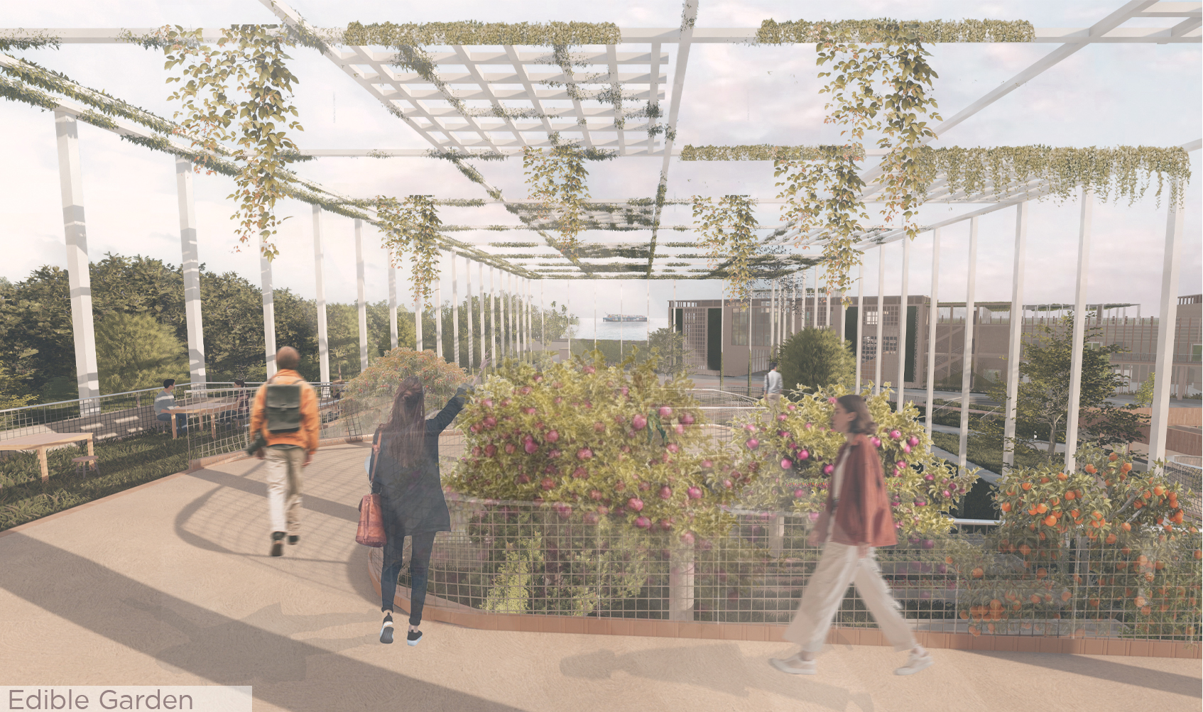 Culinary art complex │ Graduation Project-16