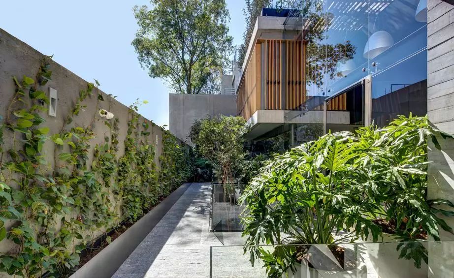 原生态混凝土，诗意禅境的家-111